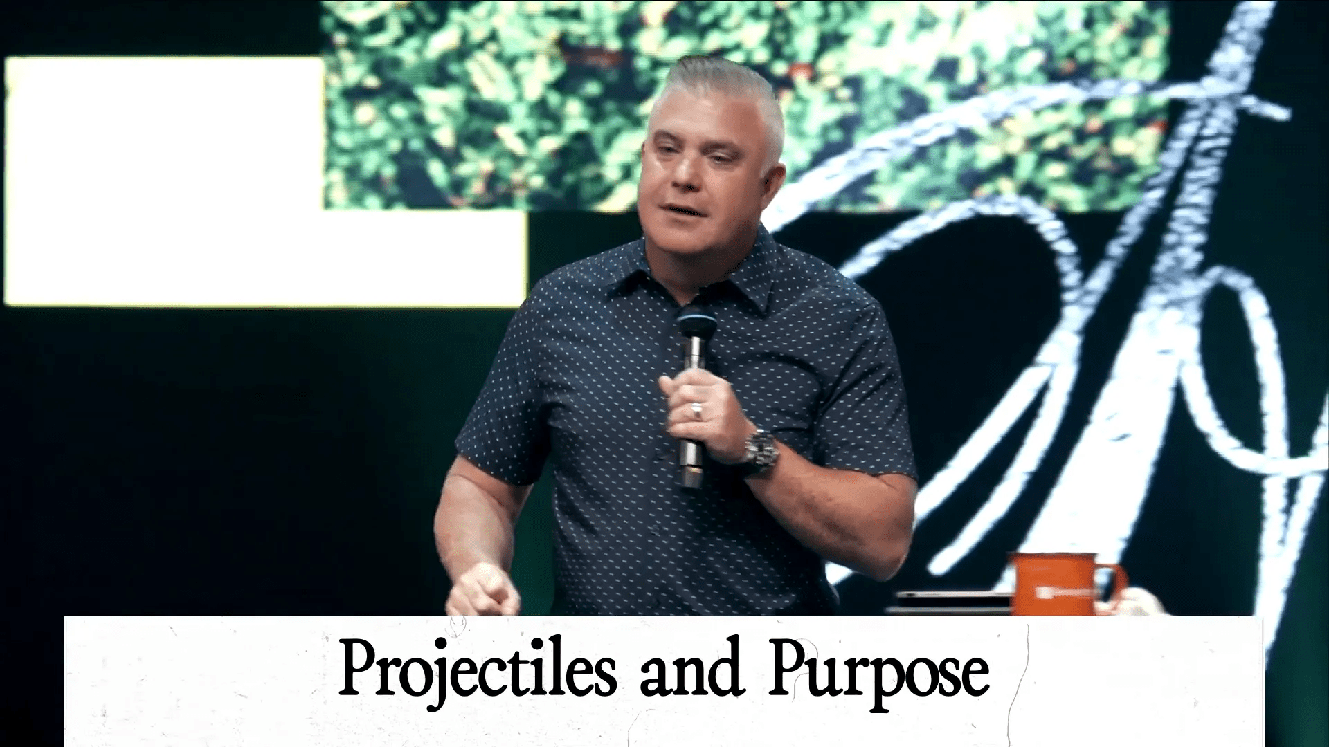 Projectiles and Purpose: The Story of David and Goliath